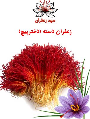 زعفران دسته دخترپیچ