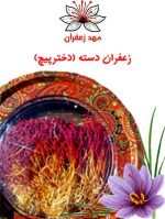 زعفران دسته دخترپیچ