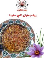 ریشه زعفران