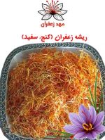 ریشه زعفران